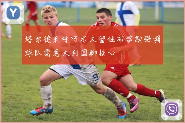 塔尔德利呼吁尤文留住布雷默强调球队需意大利国脚核心