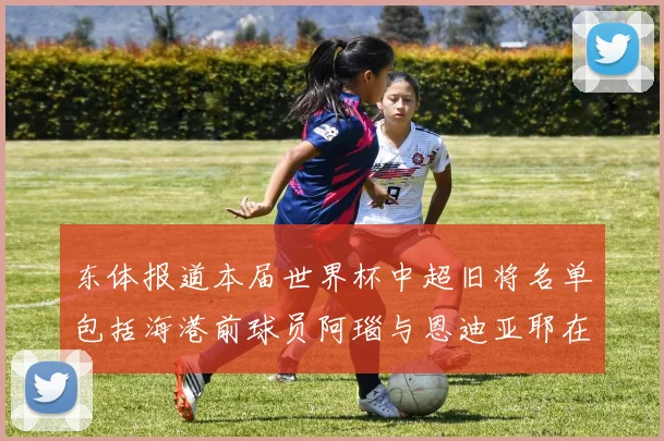 东体报道本届世界杯中超旧将名单包括海港前球员阿瑙与恩迪亚耶在内的10位球员